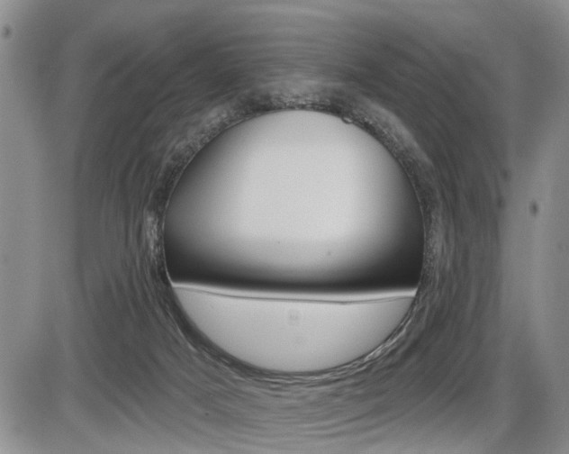 X0000086100025200703231102