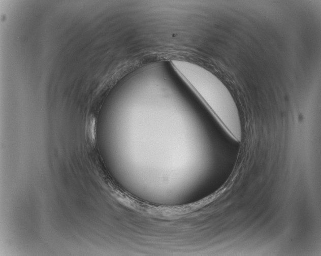 X0000086100041200703231102