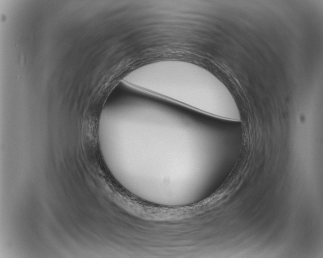 X0000086100044200703231102