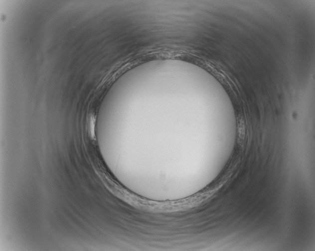X0000086100046200703231102
