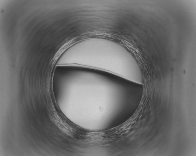 X0000086100051200703231101