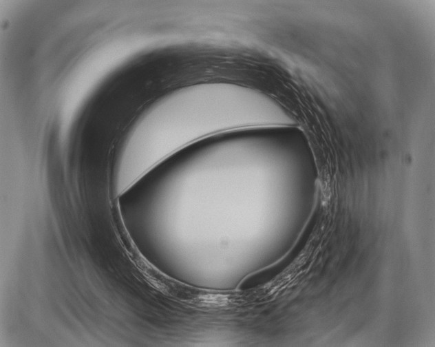 X0000086100052200703231101