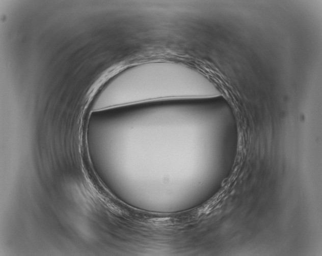 X0000086100054200703231101