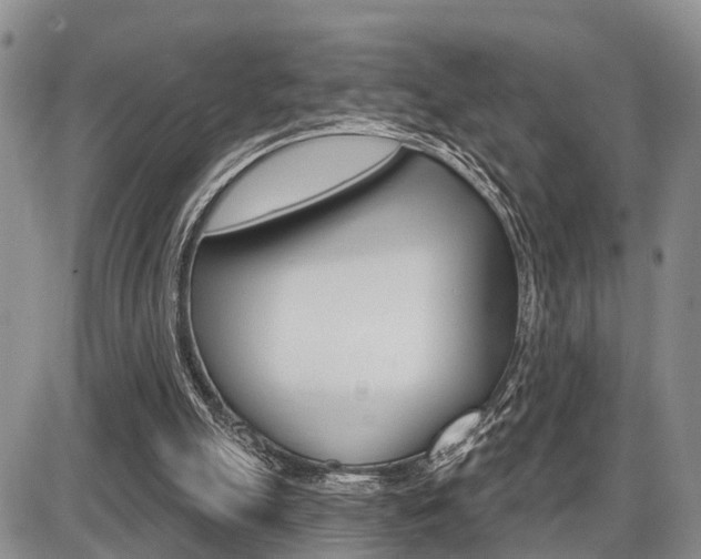 X0000086100055200703231101