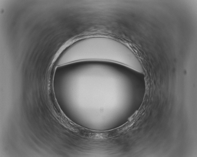 X0000086100056200703231101