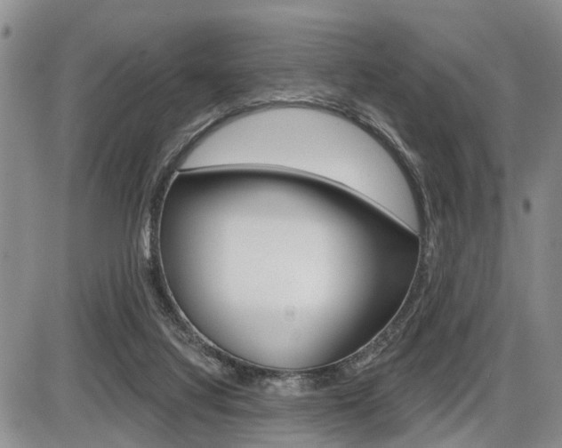 X0000086100068200703231101