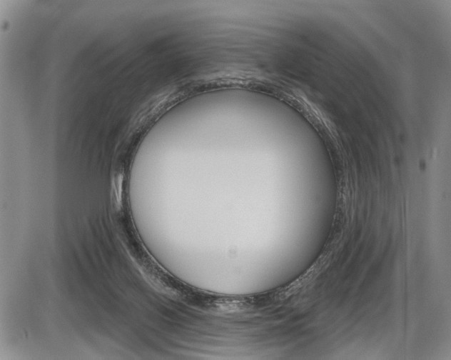 X0000086100070200703231101
