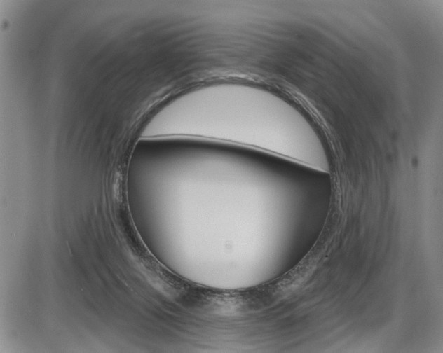 X0000086100071200703231101