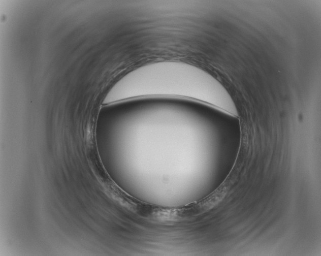X0000086100084200703231101