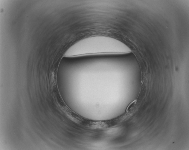 X0000086100087200703231102