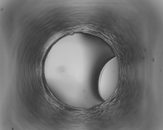 X0000086100100200703231101