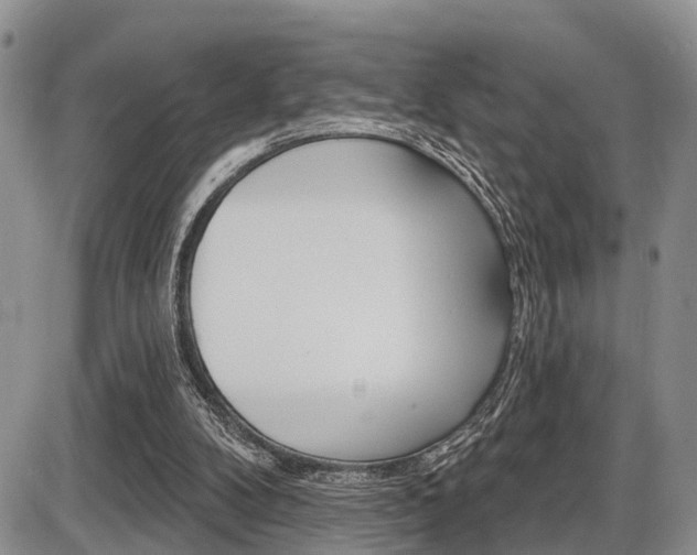 X0000086100104200703231101