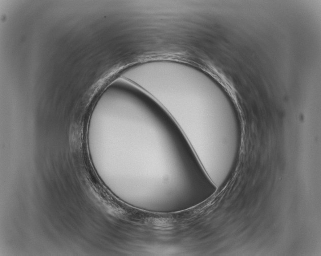X0000086100107200703231101