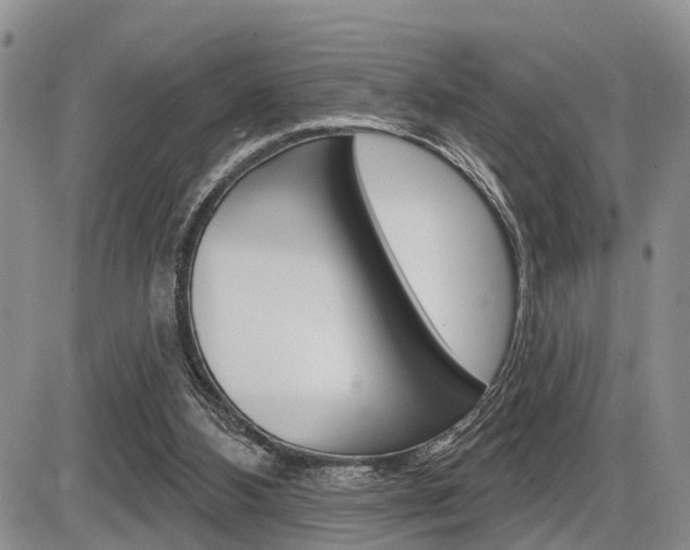 X0000086100108200703231101