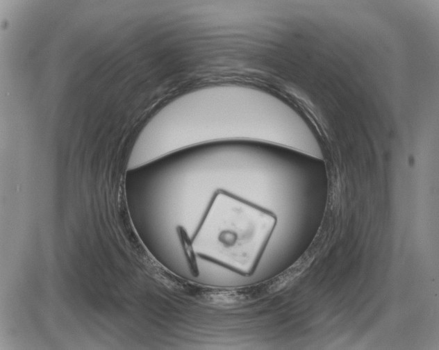 X0000086100121200703231100
