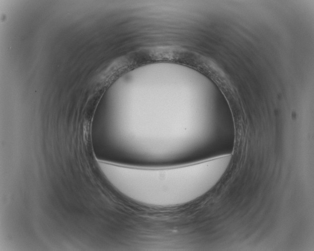 X0000086100125200703231100