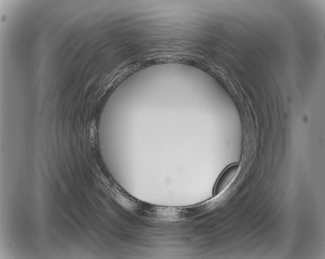 X0000086100144200703231100