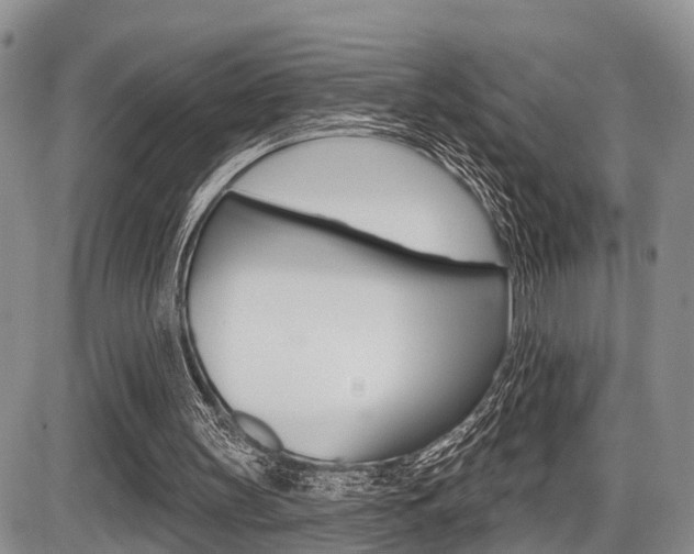 X0000086100147200703231059