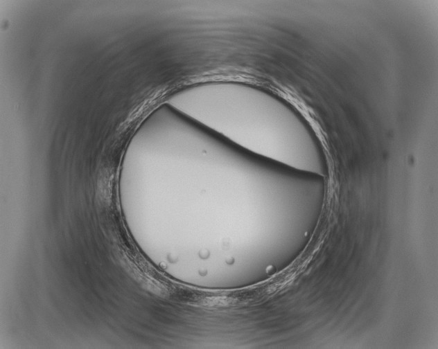 X0000086100153200703231059
