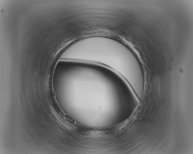 X0000086100154200703231059