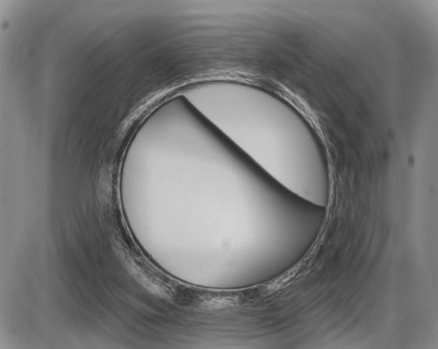 X0000086100155200703231059