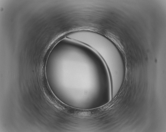 X0000086100156200703231059