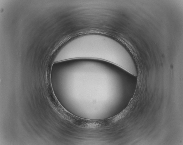 X0000086100158200703231059
