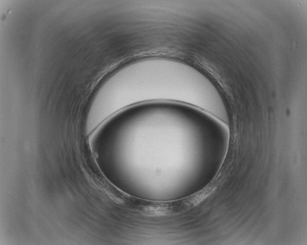 X0000086100164200703231100