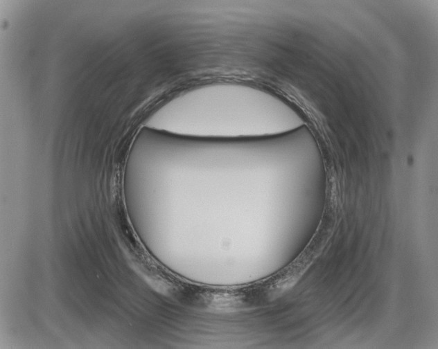 X0000086100165200703231100