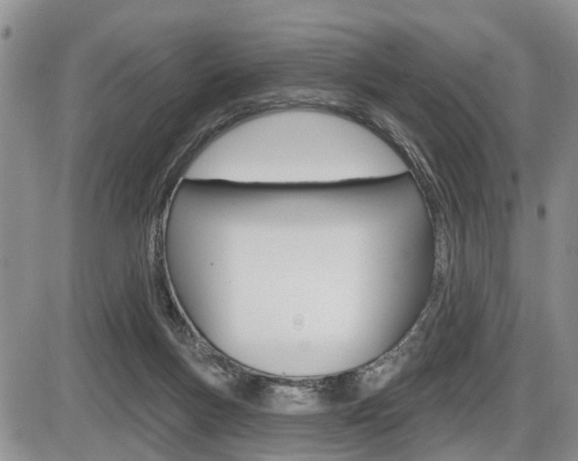 X0000086100167200703231100