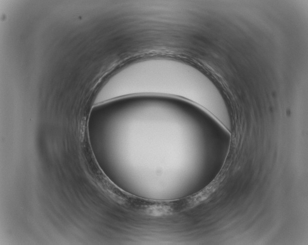 X0000086100168200703231100
