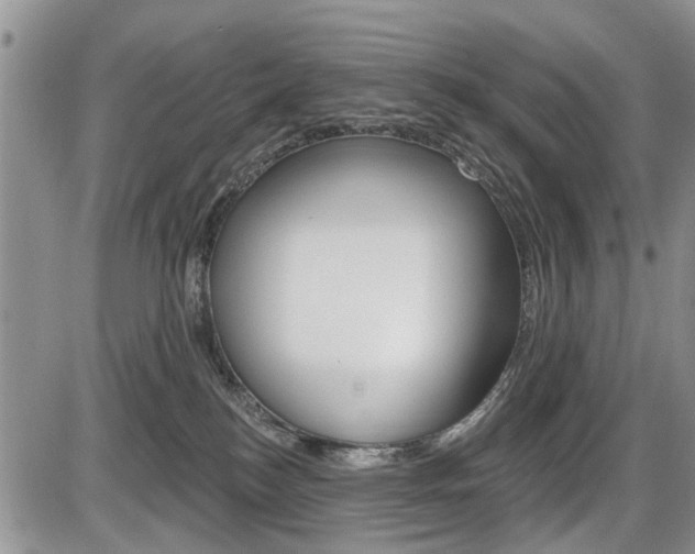 X0000086100184200703231100