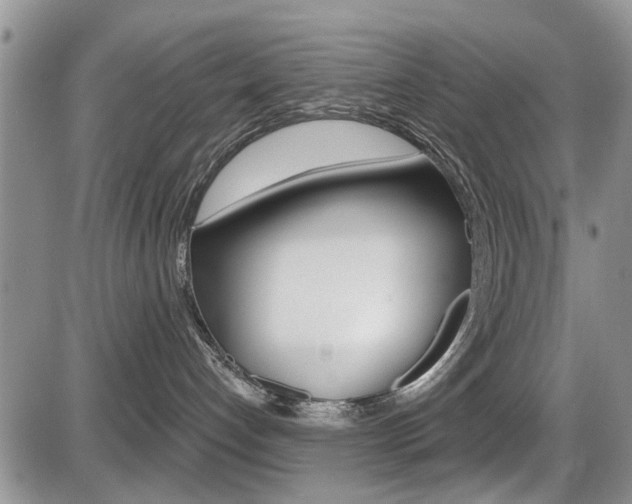 X0000086100192200703231100
