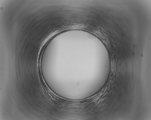 X0000086100196200703231059
