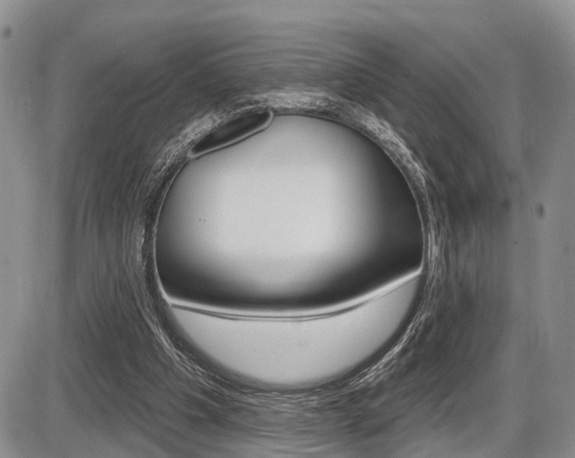 X0000086100201200703231059