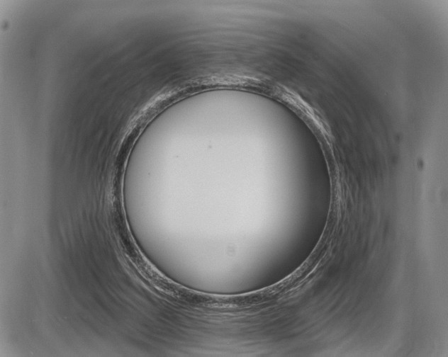 X0000086100203200703231059