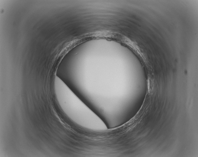 X0000086100205200703231059