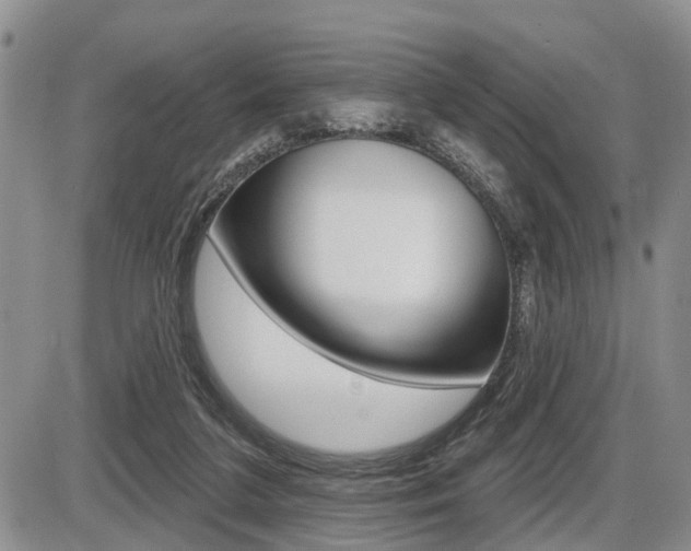 X0000086100211200703231059