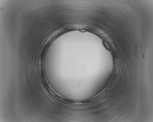 X0000086100212200703231059
