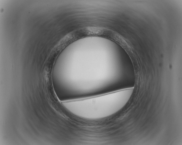 X0000086100215200703231059
