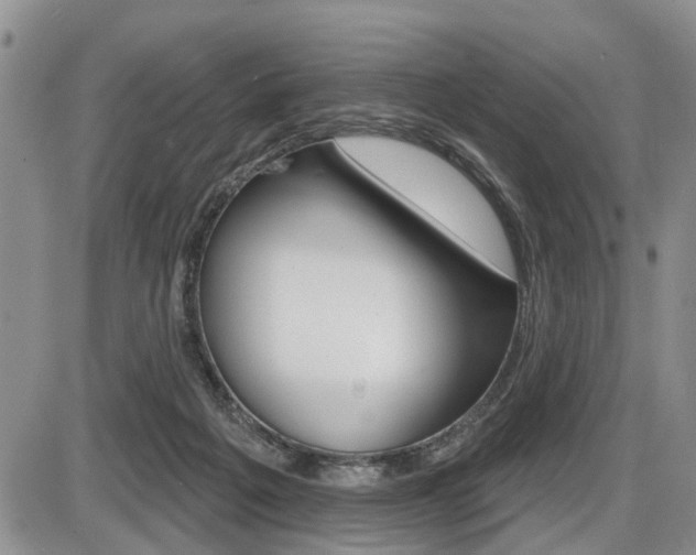 X0000086100217200703231059