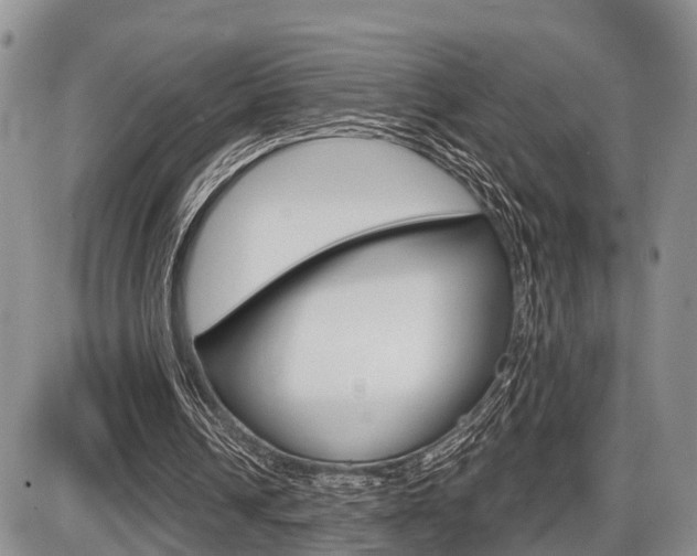 X0000086100242200703231058