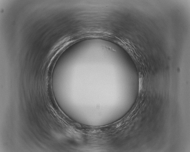 X0000086100243200703231058