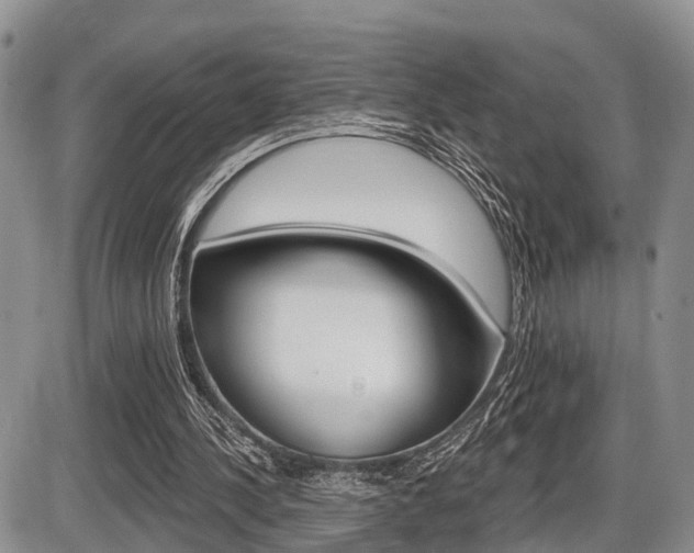 X0000086100244200703231058