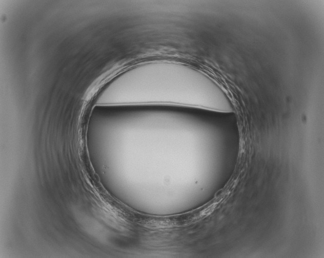 X0000086100245200703231058
