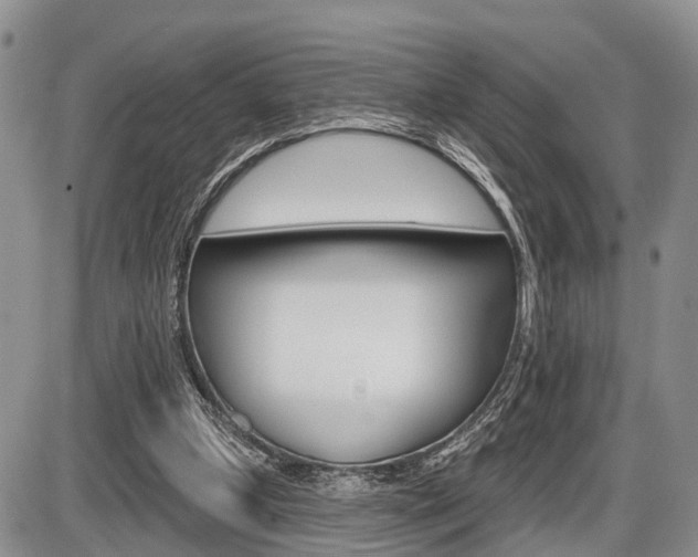 X0000086100249200703231058