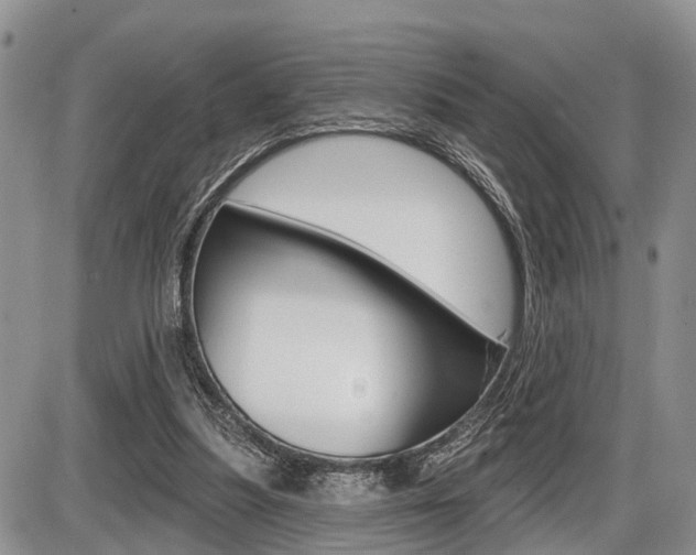 X0000086100251200703231058