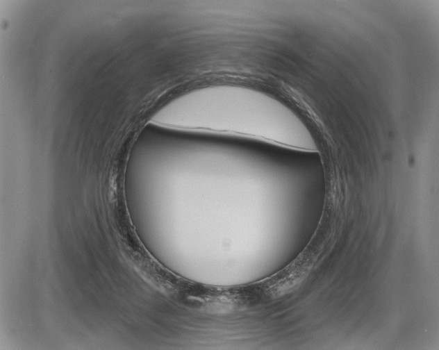 X0000086100259200703231058