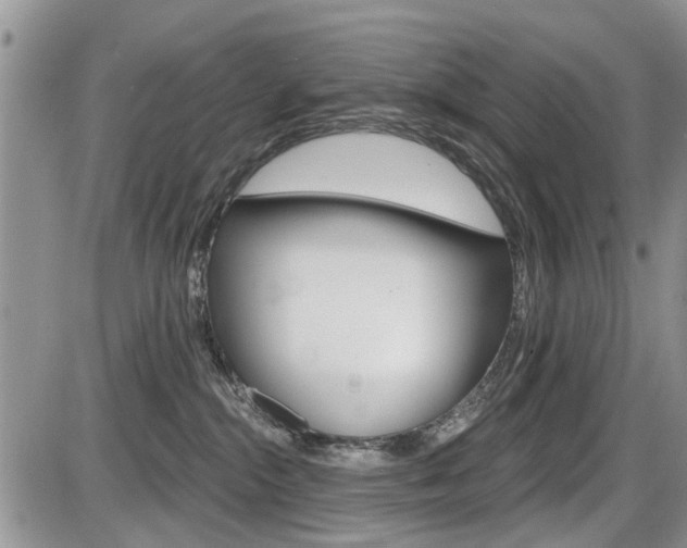 X0000086100284200703231058