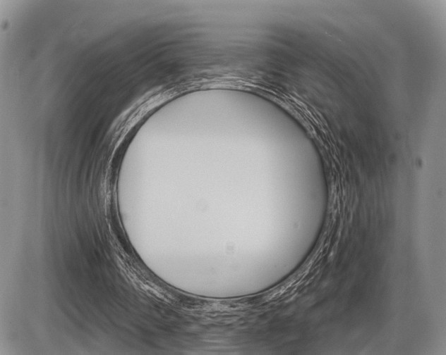 X0000086100290200703231058
